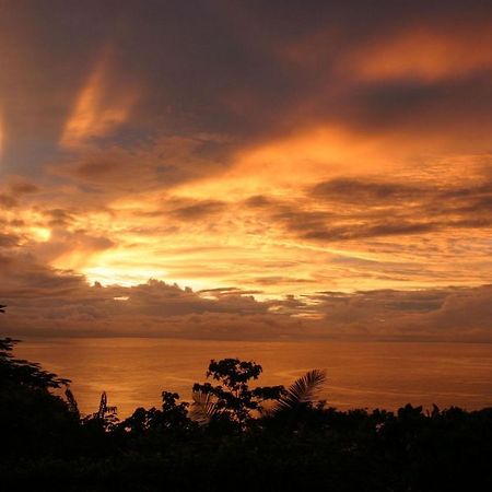 Villa Vista Hermosa - With Breathtaking Ocean View & Wifi Quepos Exterior foto
